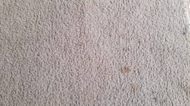 carpet