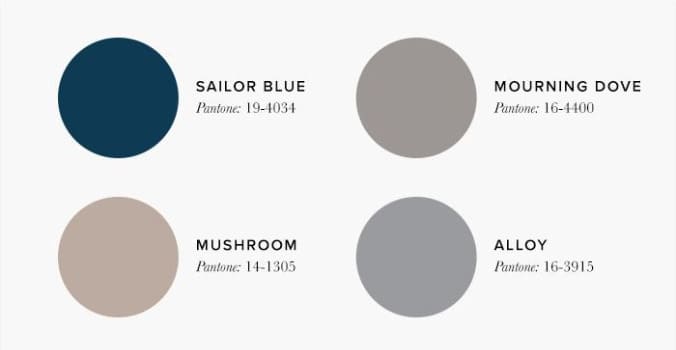 Soft blue and mushroom gray living room color palette