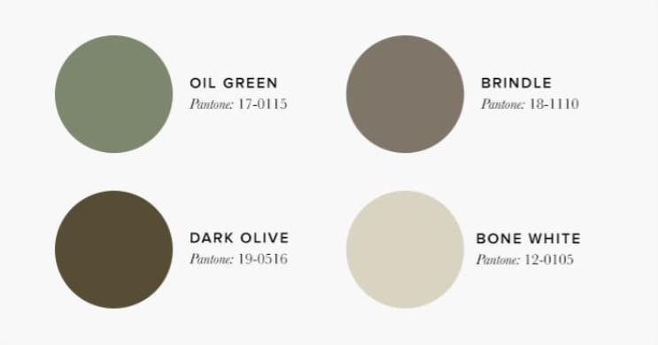 Cream sage and olive family living room palette