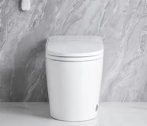 Intelligent toilet