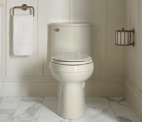 Split toilet