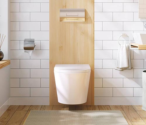 Wall hung toilet