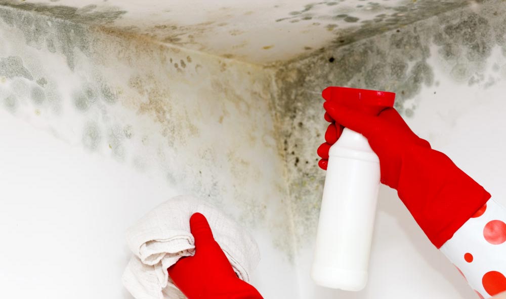 Protective equipment and supplies for cleaning a small bathroom ceiling mold area