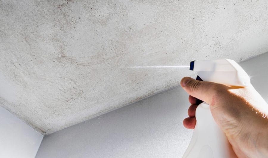 Homeowner inspecting bathroom ceiling mold before cleaning