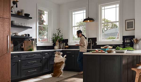 miwindows.com