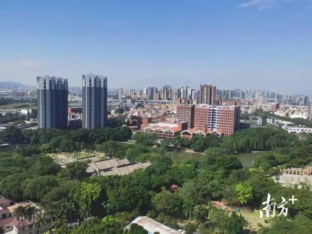 George Group Leads Foshan Global Initiative(1)
