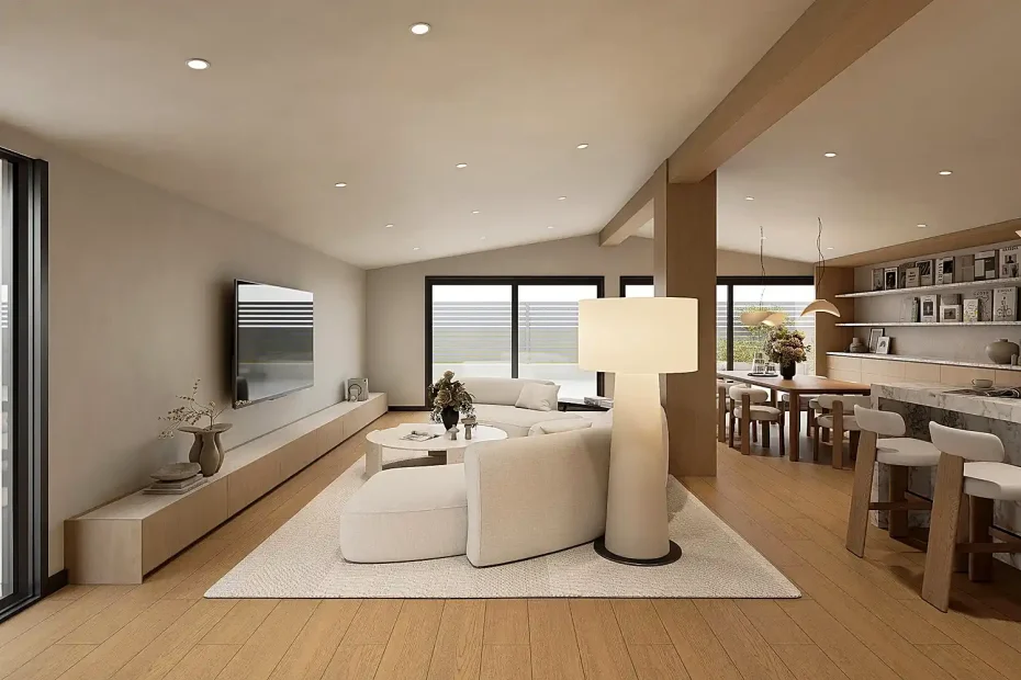 USA contemporary house